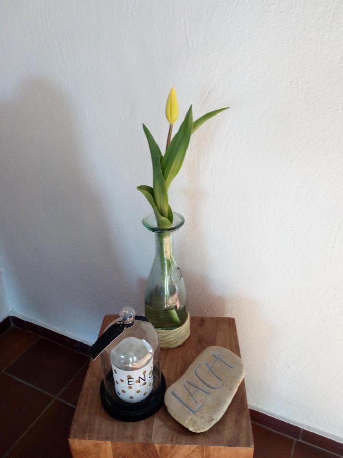 Letteratelier Driesprong Appartement *